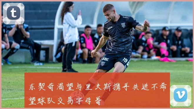 东契奇渴望与里夫斯携手共进不希望球队交易字母哥